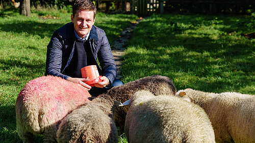David Chadwick MP feeding sheep