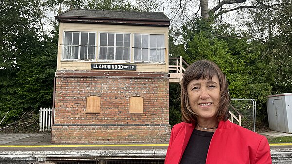 Jane's Newsletter